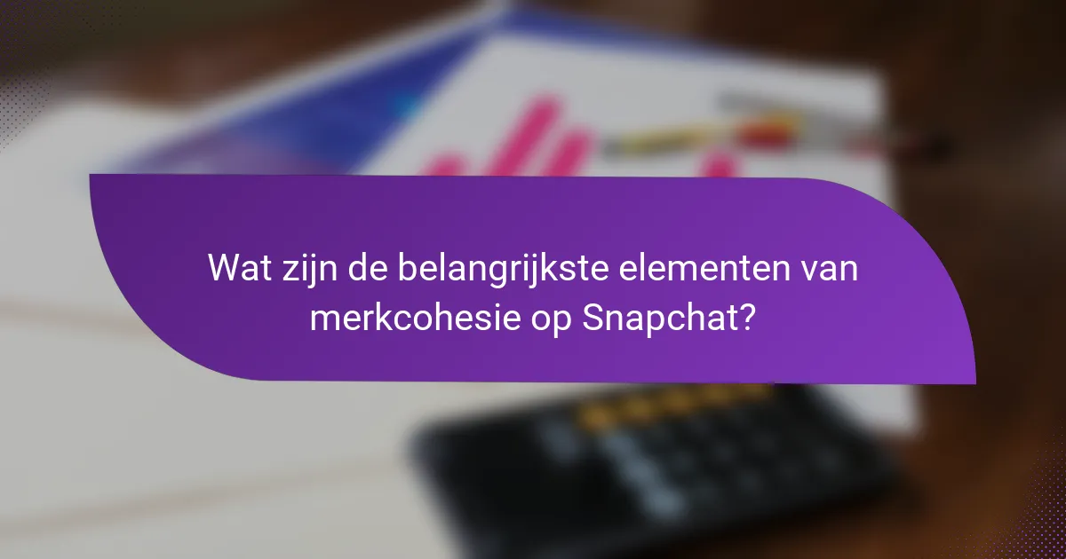 Wat zijn de belangrijkste elementen van merkcohesie op Snapchat?