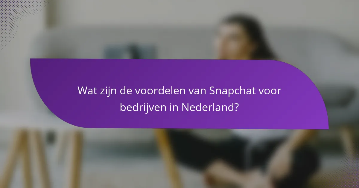 Wat zijn de voordelen van Snapchat voor bedrijven in Nederland?